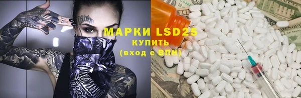 дмт Богданович
