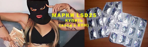 дмт Богданович