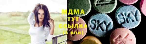 дмт Богданович