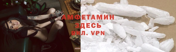 дмт Богданович