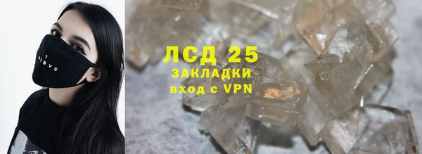 дмт Богданович