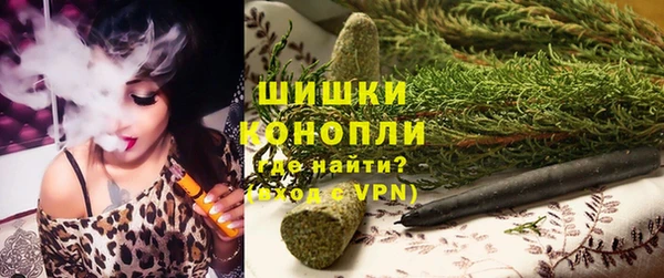 ALPHA PVP Богородицк