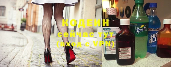 дмт Богданович