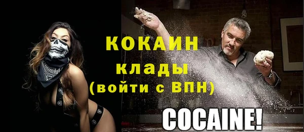 ALPHA PVP Богородицк