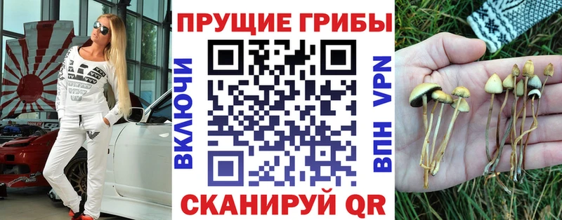 Галлюциногенные грибы прущие грибы  ОМГ ОМГ онион  Волжск  как найти закладки 