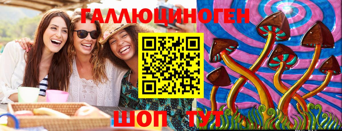 Волжск  Псилоцибиновые грибы мицелий  Вход с VPN 