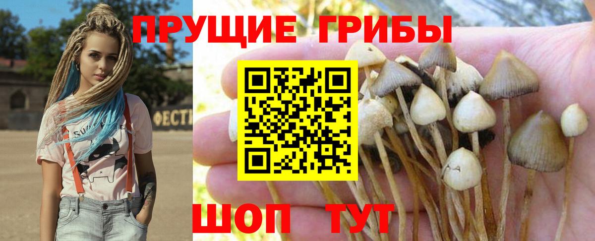 Псилоцибиновые грибы MAGIC MUSHROOMS Волжск