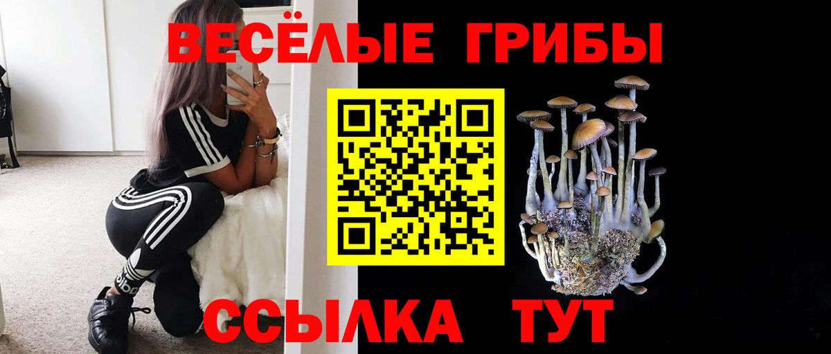 Волжск  Галлюциногенные грибы мицелий  Галлюциногенные грибы Cubensis  Вход с VPN 