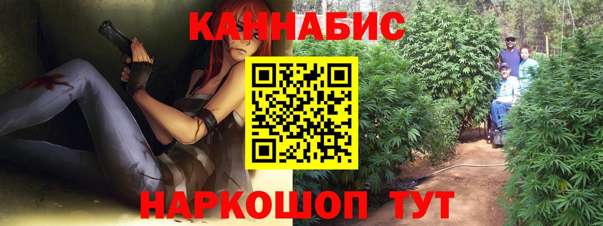 МАРИХУАНА план  Бошки Шишки тримм  Бошки марихуана Bruce Banner  Волжск  Конопля семена  Вход с VPN 